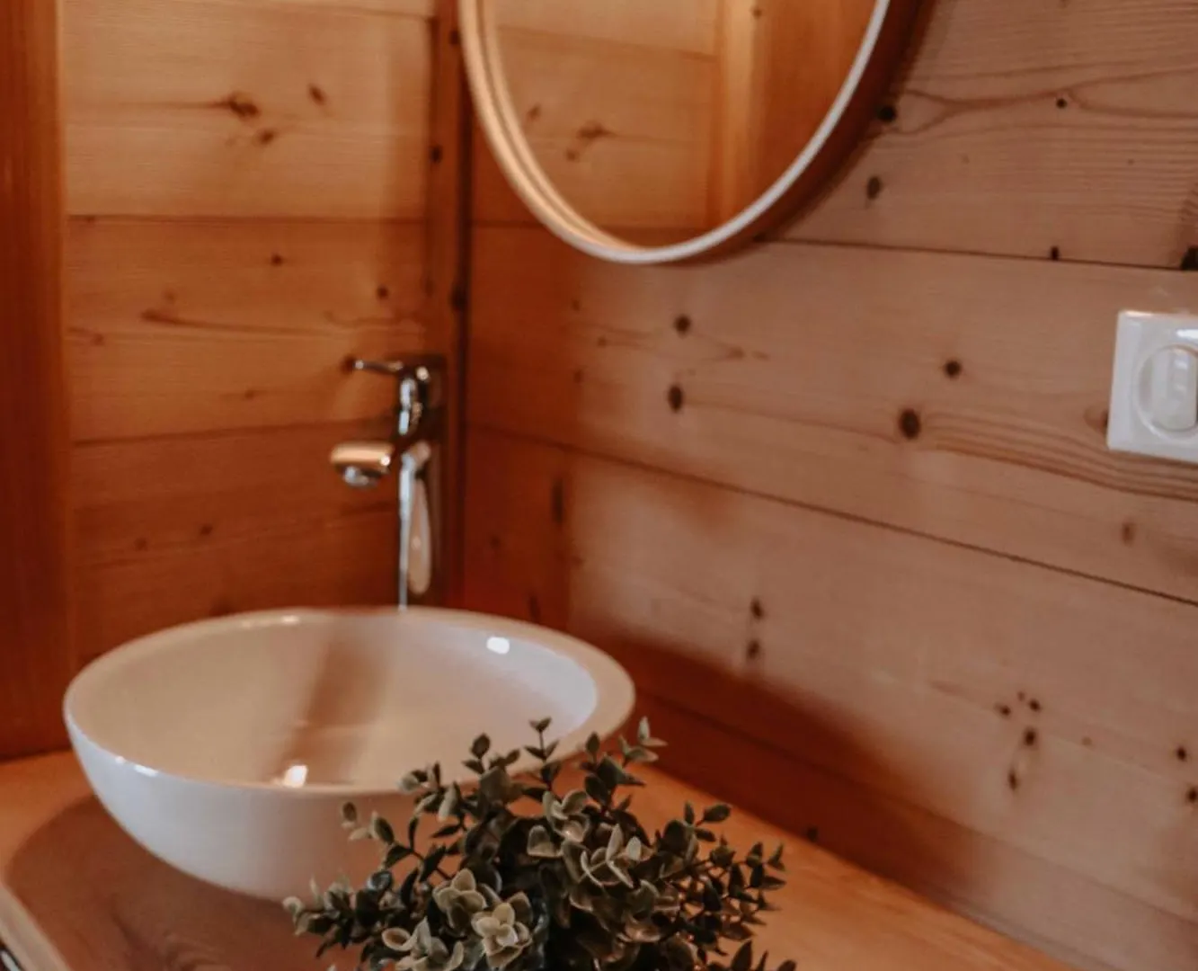 Apartment Chalet Les Hellebores Fontcouverte-la-Toussuire France